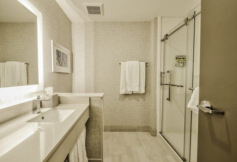 جناح لذوى الاحتياجات الخاصة, Holiday Inn Express & Suites Dallas Nw   Farmers Branch, An Ihg