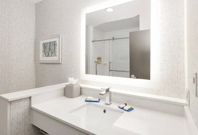 身障者適用スイートルーム, Holiday Inn Express & Suites Dallas Nw   Farmers Branch, An Ihg