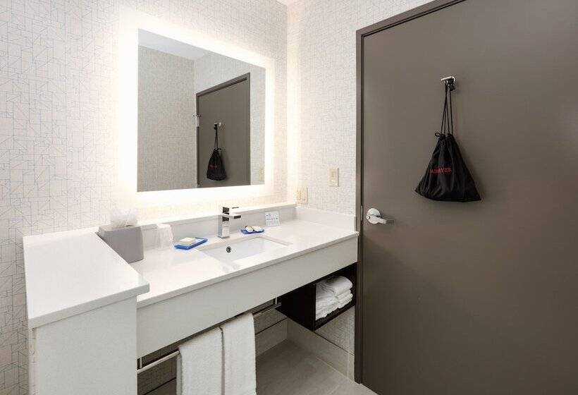 جناح, Holiday Inn Express & Suites Dallas Nw   Farmers Branch, An Ihg