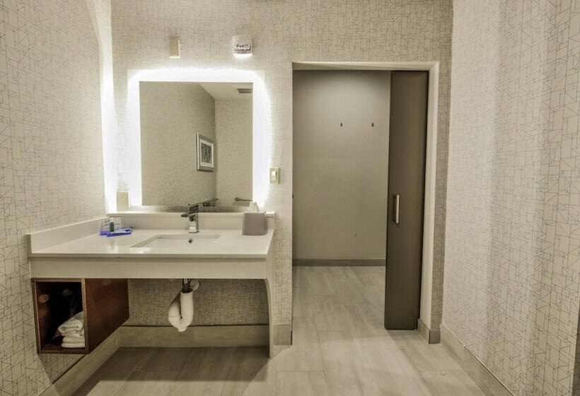 جناح, Holiday Inn Express & Suites Dallas Nw   Farmers Branch, An Ihg