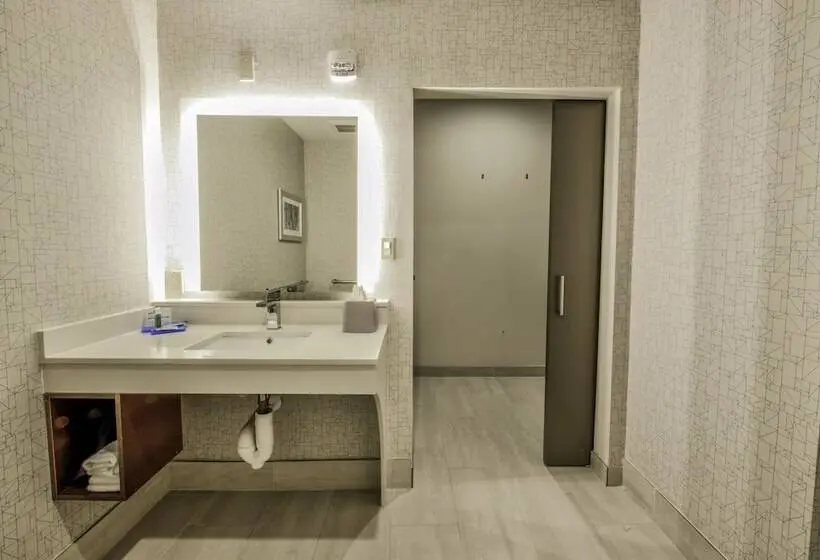 スイート, Holiday Inn Express & Suites Dallas Nw   Farmers Branch, An Ihg
