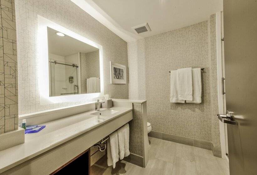 Люкс, Holiday Inn Express & Suites Dallas Nw   Farmers Branch, An Ihg