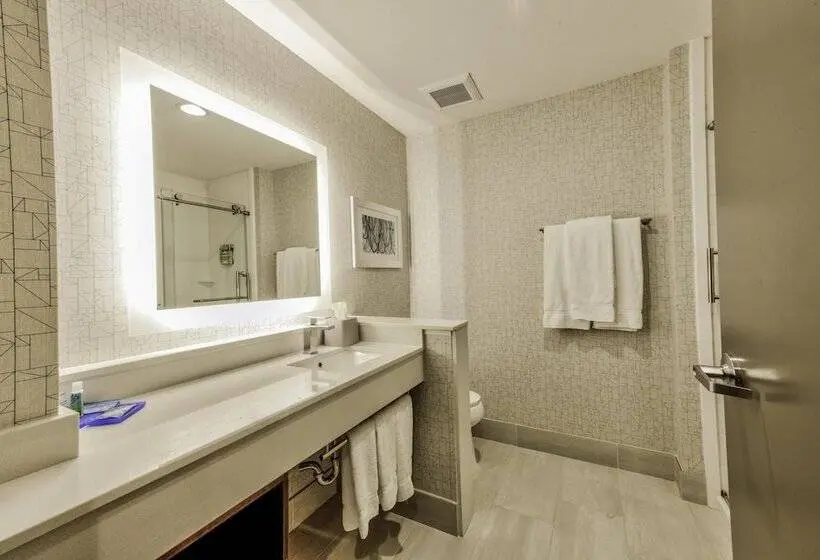 スイート, Holiday Inn Express & Suites Dallas Nw   Farmers Branch, An Ihg