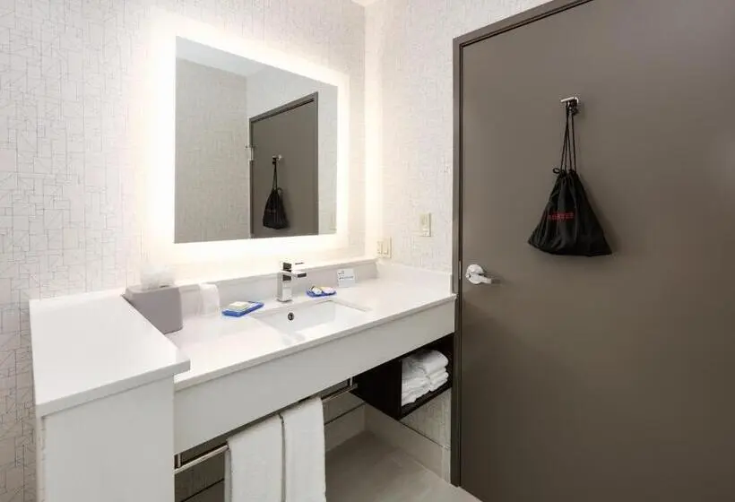 キングサイズベッドのスイートルーム, Holiday Inn Express & Suites Dallas Nw   Farmers Branch, An Ihg