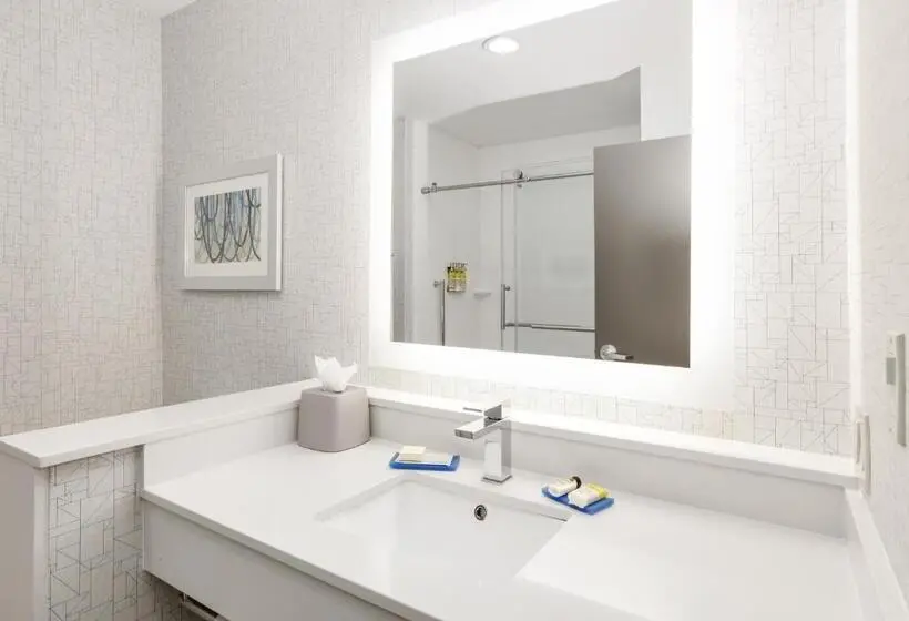 キングサイズベッドのスイートルーム, Holiday Inn Express & Suites Dallas Nw   Farmers Branch, An Ihg