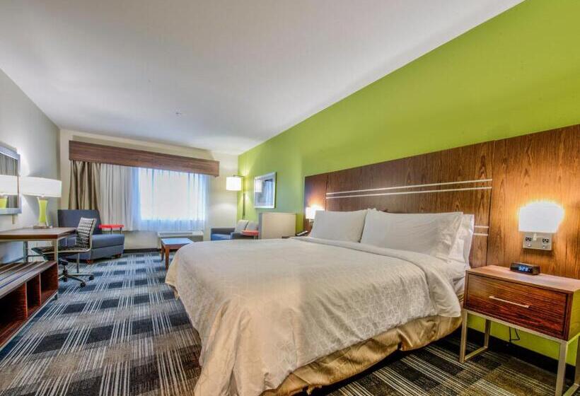 جناح سرير كينج, Holiday Inn Express & Suites Dallas Nw   Farmers Branch, An Ihg