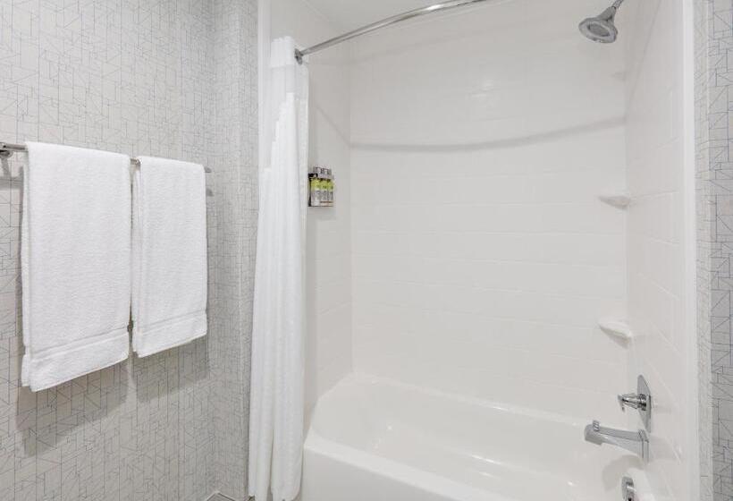 Люкс, Holiday Inn Express & Suites Dallas Nw   Farmers Branch, An Ihg