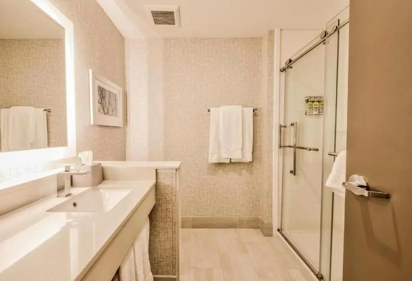 キングサイズベッドのスタンダードルーム, Holiday Inn Express & Suites Dallas Nw   Farmers Branch, An Ihg
