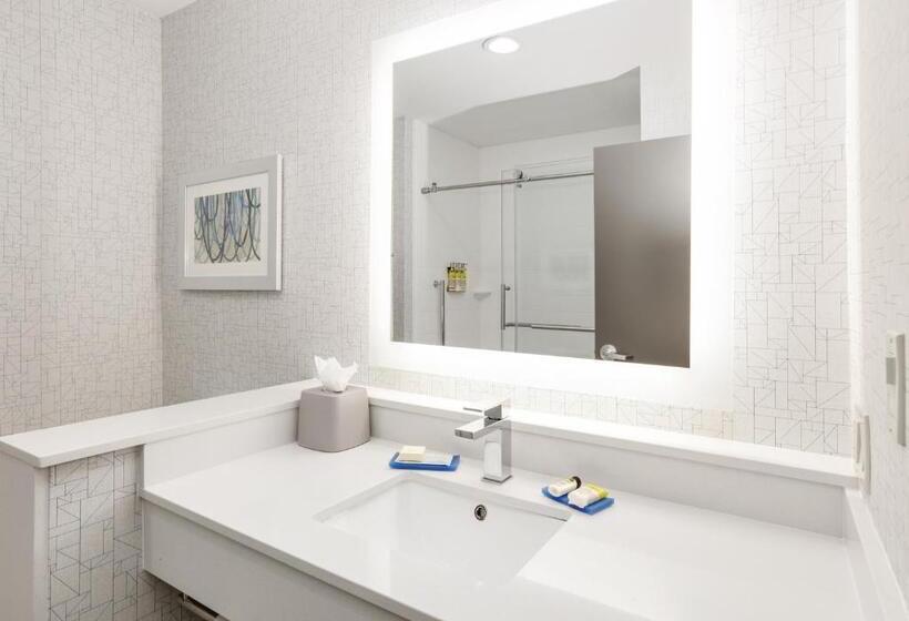 Люкс Адаптированный для Инвалидов, Holiday Inn Express & Suites Dallas Nw   Farmers Branch, An Ihg