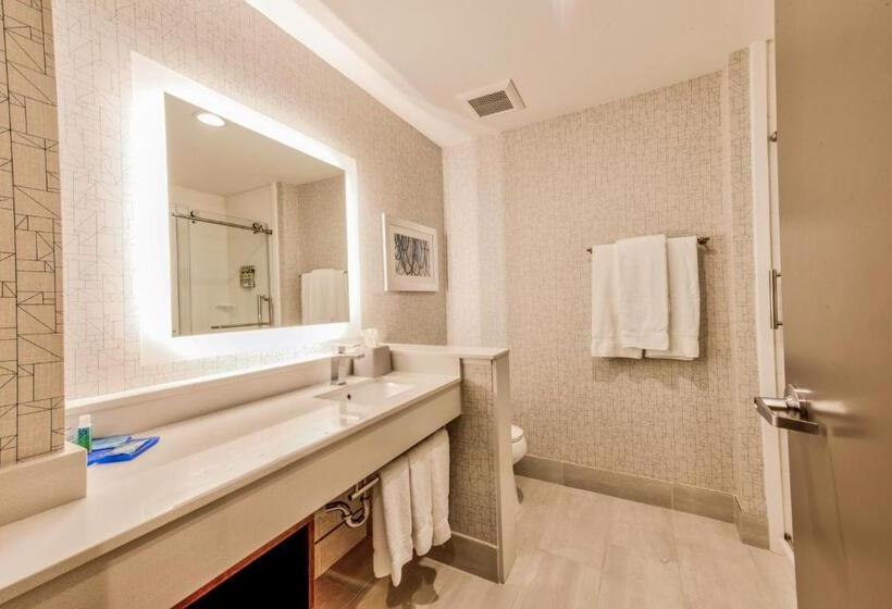 جناح لذوى الاحتياجات الخاصة, Holiday Inn Express & Suites Dallas Nw   Farmers Branch, An Ihg