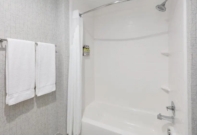身障者適用スタンダードルーム, Holiday Inn Express & Suites Dallas Nw   Farmers Branch, An Ihg