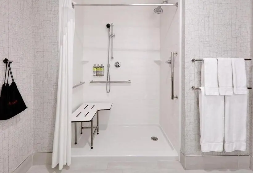 身障者適用キングサイズベッドルーム, Holiday Inn Express & Suites Dallas Nw   Farmers Branch, An Ihg