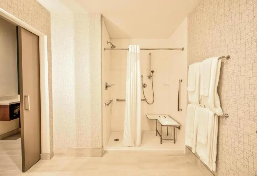 身障者適用キングサイズベッドルーム, Holiday Inn Express & Suites Dallas Nw   Farmers Branch, An Ihg