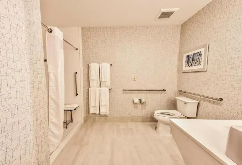 身障者適用キングサイズベッドルーム, Holiday Inn Express & Suites Dallas Nw   Farmers Branch, An Ihg