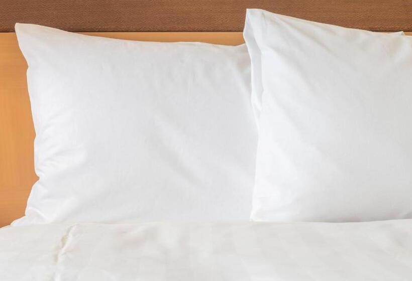 Номер Стандарт, Holiday Inn Express & Suites Dallas Nw   Farmers Branch, An Ihg