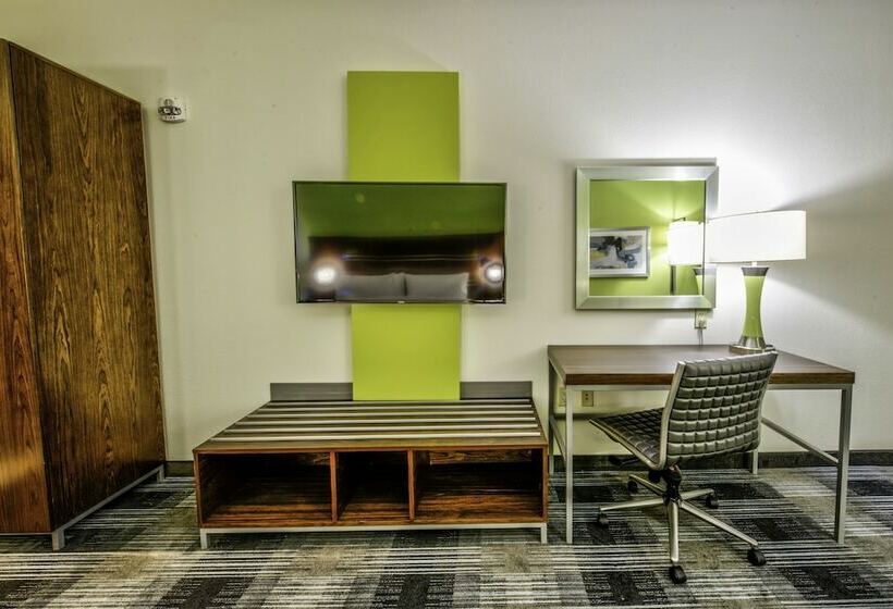 غرفة قياسية, Holiday Inn Express & Suites Dallas Nw   Farmers Branch, An Ihg