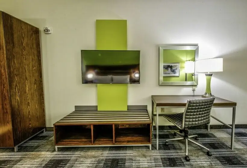 スタンダードルーム, Holiday Inn Express & Suites Dallas Nw   Farmers Branch, An Ihg