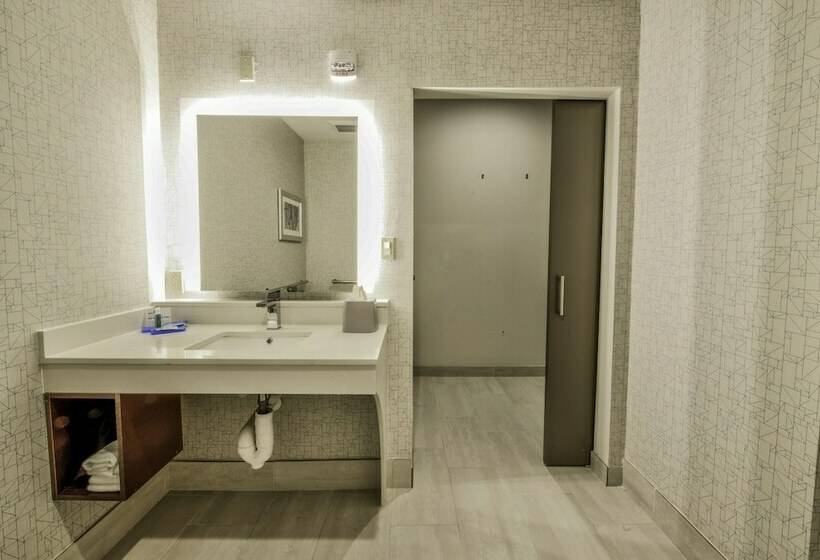 غرفة قياسية, Holiday Inn Express & Suites Dallas Nw   Farmers Branch, An Ihg