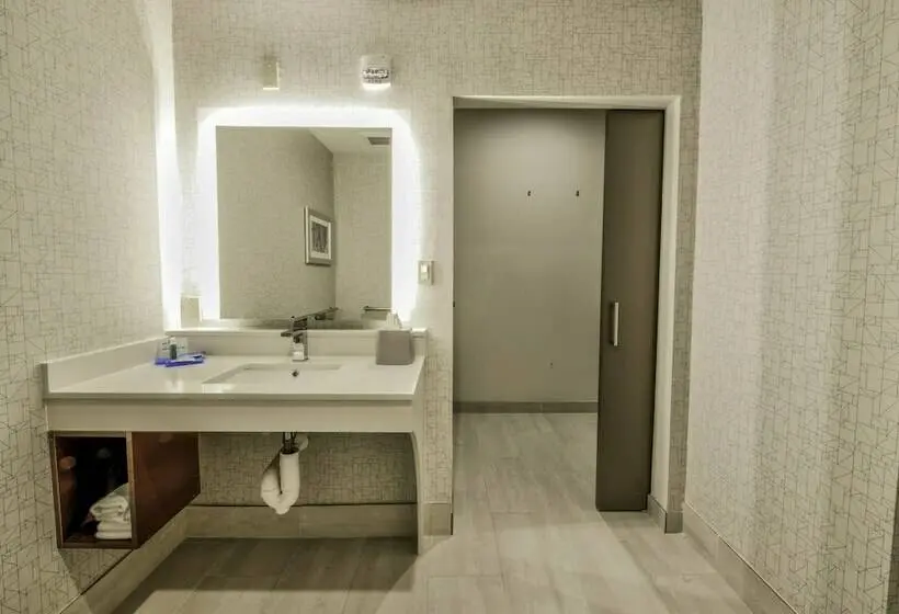 スタンダードルーム, Holiday Inn Express & Suites Dallas Nw   Farmers Branch, An Ihg