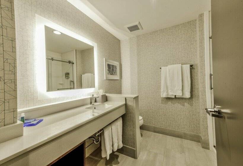 غرفة قياسية, Holiday Inn Express & Suites Dallas Nw   Farmers Branch, An Ihg