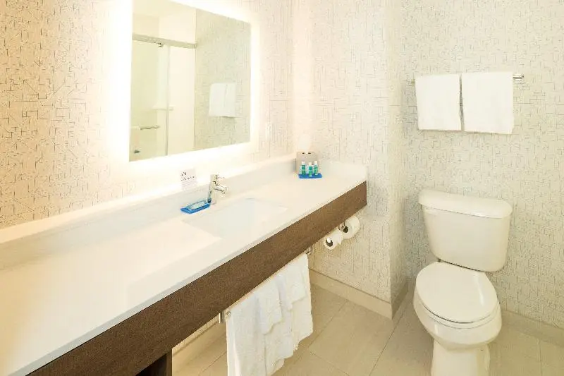 身障者適用キングサイズベッドルーム, Holiday Inn Express & Suites   Gaylord, An Ihg