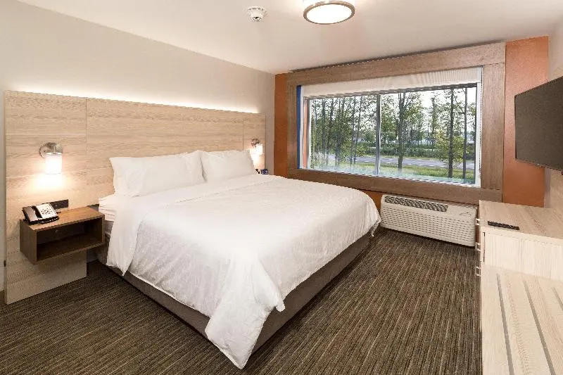 身障者適用キングサイズベッドルーム, Holiday Inn Express & Suites   Gaylord, An Ihg