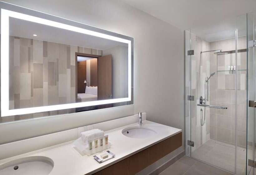 带城市景观的优质房间, Holiday Inn & Suites   Dubai Festival City Mall, An Ihg