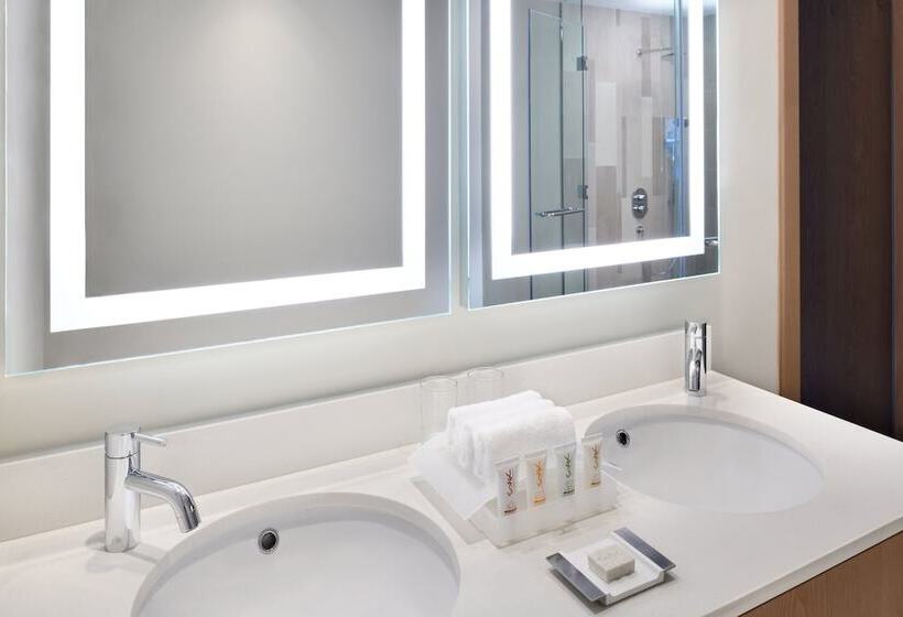 带城市景观的优质房间, Holiday Inn & Suites   Dubai Festival City Mall, An Ihg