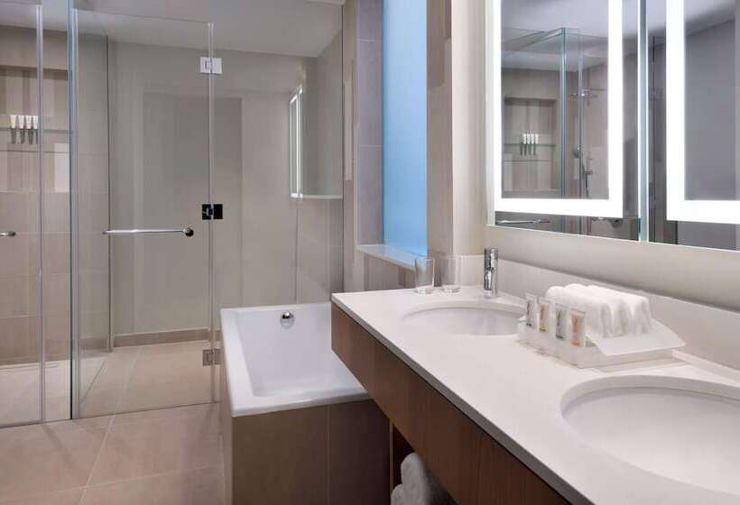 带城市景观的优质房间, Holiday Inn & Suites   Dubai Festival City Mall, An Ihg