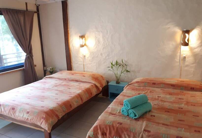 スタンダードルーム, La Barquita Beach Hostel