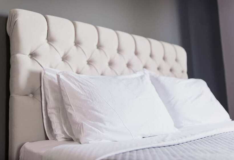 デラックスルーム, Zante Calinica