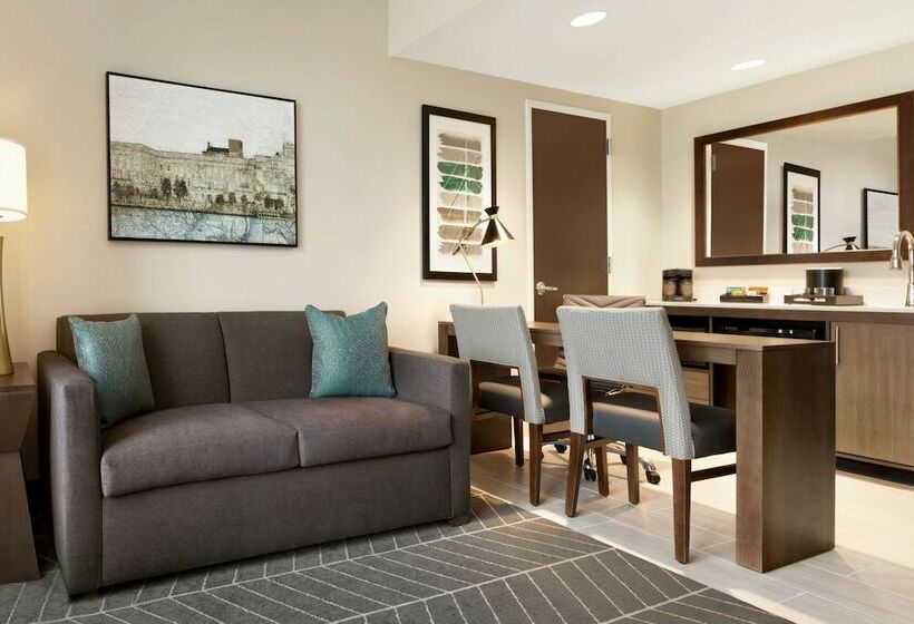 سوئیت با تخت بزرگ, Embassy Suites By Hilton Wilmington Riverfront