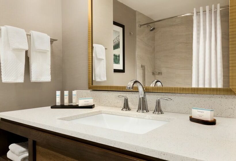 استودیو استاندارد با تخت کینگ, Embassy Suites By Hilton Wilmington Riverfront