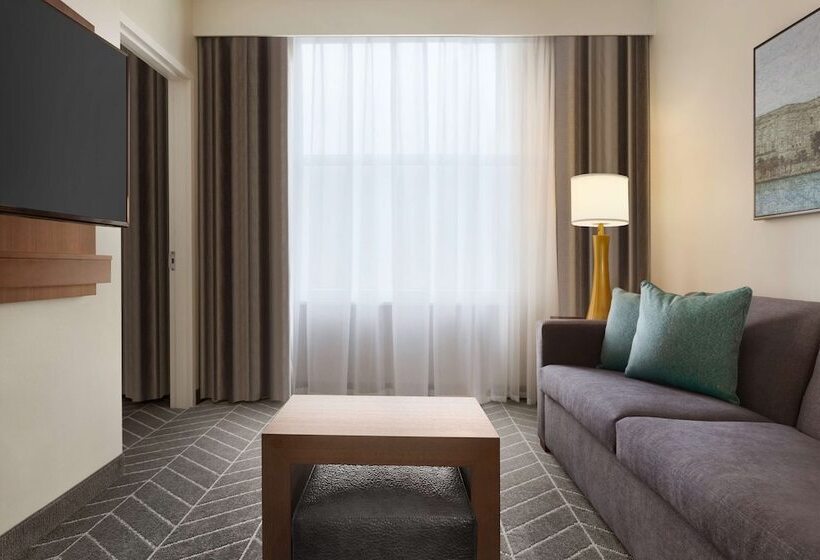 استودیو استاندارد با تخت کینگ, Embassy Suites By Hilton Wilmington Riverfront