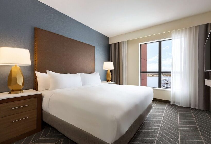 سوئیت با تخت بزرگ, Embassy Suites By Hilton Wilmington Riverfront