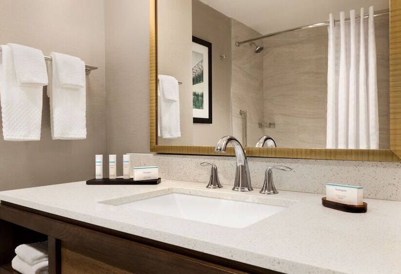 سوئیت پریمیوم, Embassy Suites By Hilton Wilmington Riverfront