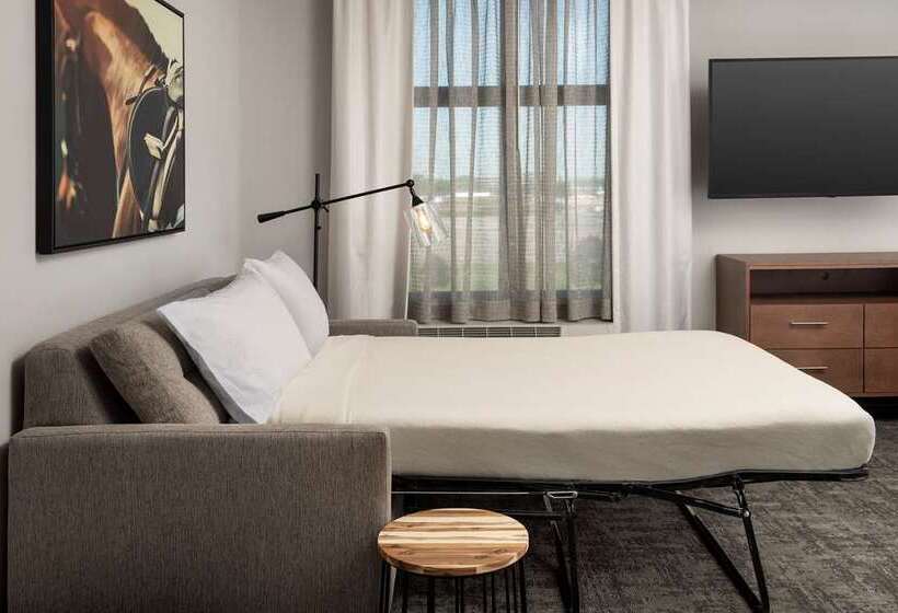 Люкс Кровать Квин, Embassy Suites By Hilton Wilmington Riverfront