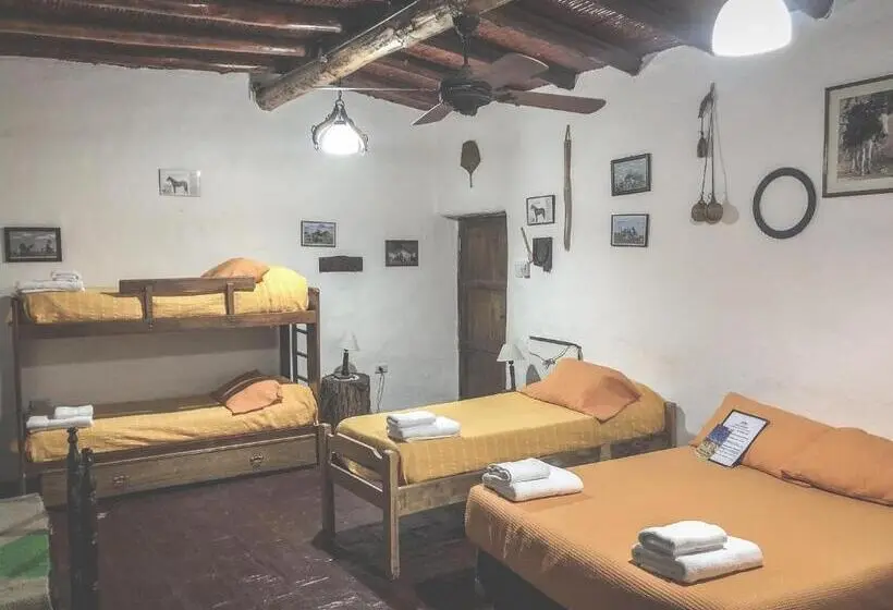 ファミリールーム, Ecoposada El Mercedario