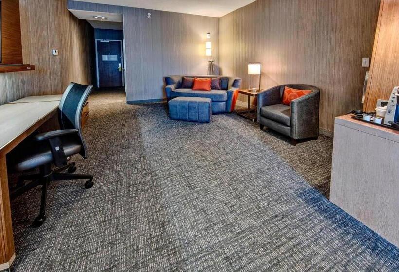 Полулюкс, Courtyard By Marriott Westbury Long Island