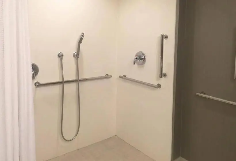 スイート, Courtyard By Marriott Westbury Long Island