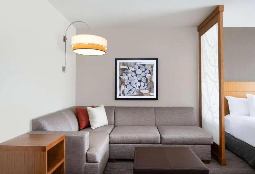 身障者適用スタンダードルーム, Hyatt Place Westminster Denver