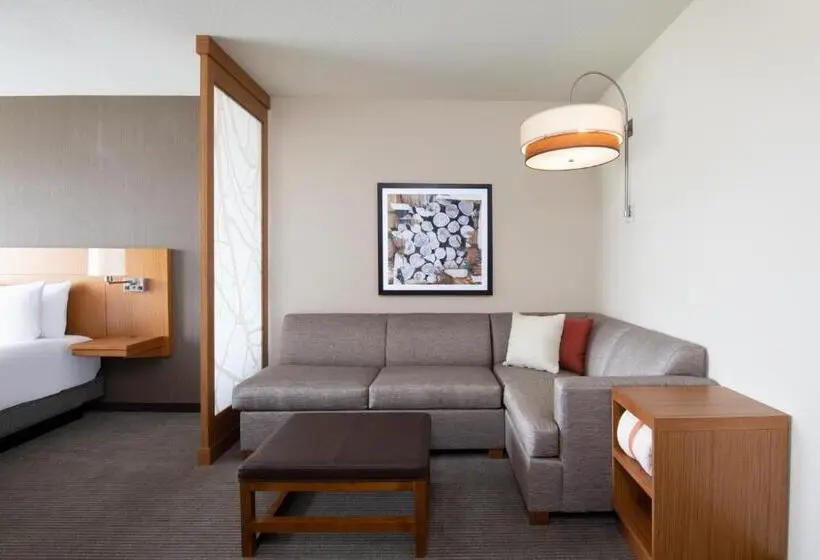 身障者適用キングサイズベッドルーム, Hyatt Place Westminster Denver