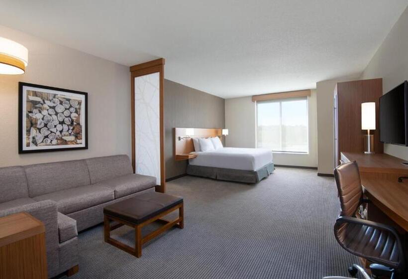 Engelliler için Büyük Çift Kişilik Yataklı Standart Oda, Hyatt Place Westminster Denver