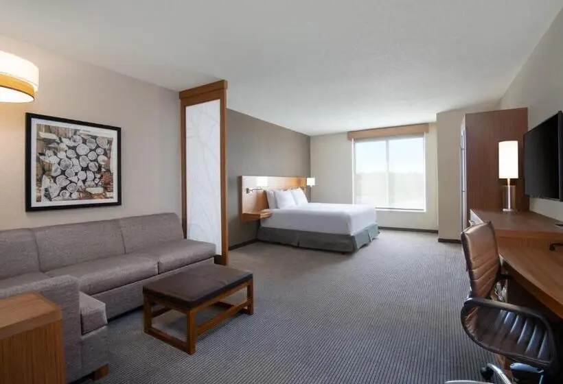 身障者適用キングサイズベッドルーム, Hyatt Place Westminster Denver