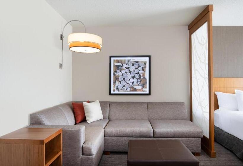 Engelliler için Büyük Çift Kişilik Yataklı Standart Oda, Hyatt Place Westminster Denver