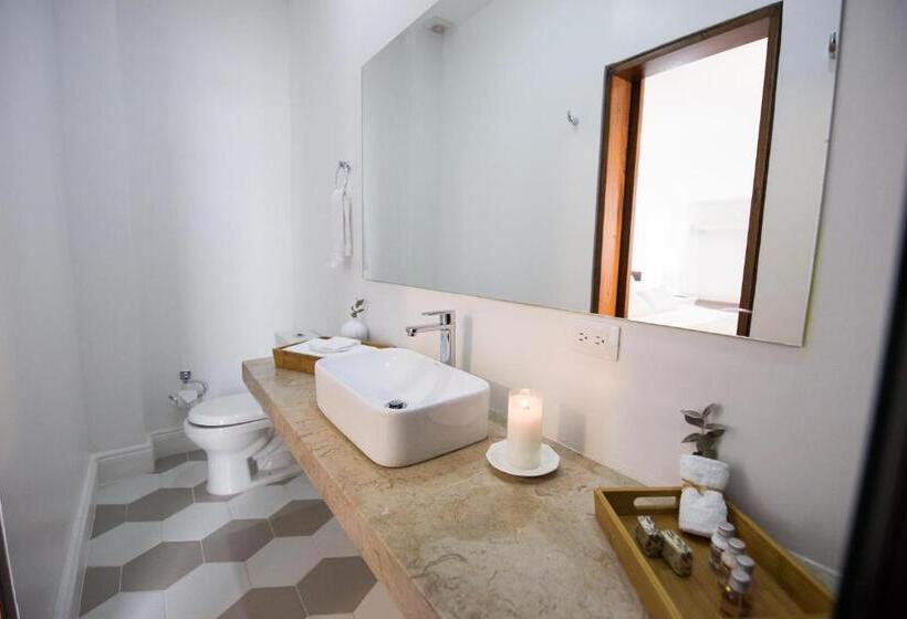 디럭스 룸, Leclerc Hotel Boutique Cali Granada