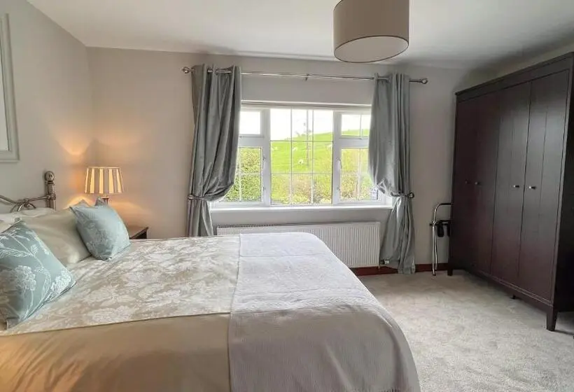 デラックスルーム, Lurgan House