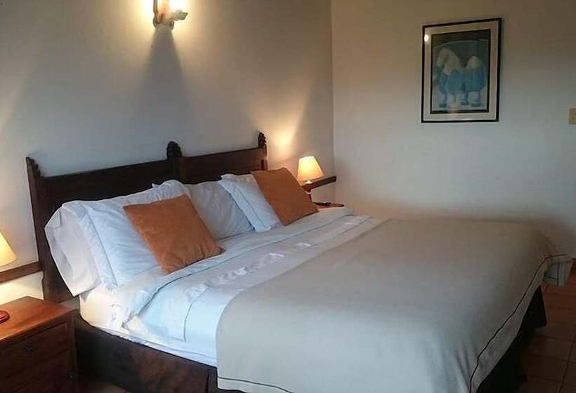 스탠다드 테라스 룸, Mesón De Los Virreyes