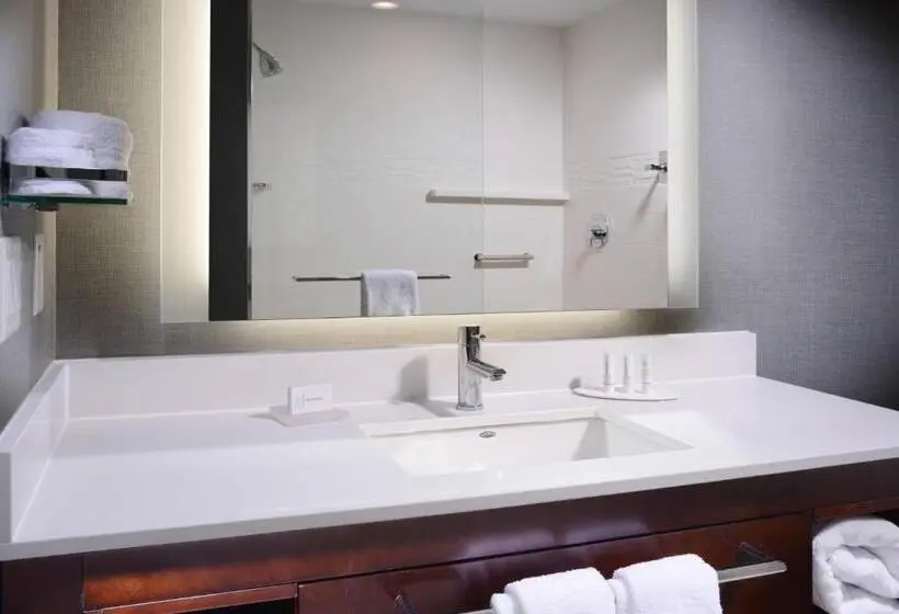 キングサイドベッドのスタンダードワンルーム, Residence Inn By Marriott Houston Pasadena