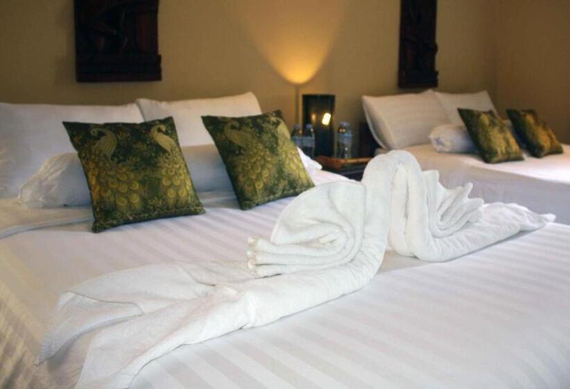 غرفة قياسية, The Magic Sponge